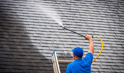 professional roof cleaning